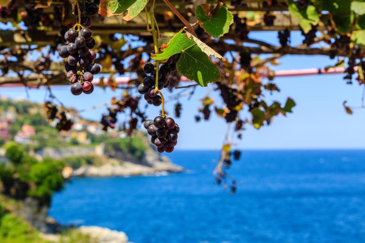 Frau Guler Boutique Hotel Amasra Eksteriør bilde